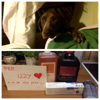 /album/fenka-izzy/izzy2-jpg/